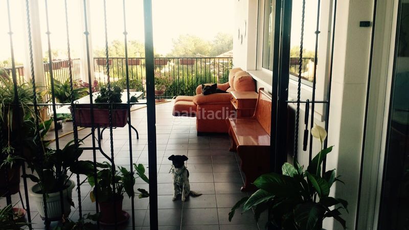 Foto 894280d1-fc4d-49f6-8128-c2e4a8790140. Xalet amb calefacció aparcament a Picassent