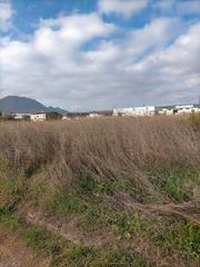 Terreny residencial a Xàtiva. Solar rustico venta en xativa