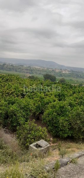 Foto 0296e4f2-2af0-4274-9ddf-4b0305755021. Finca rústica a Xàtiva
