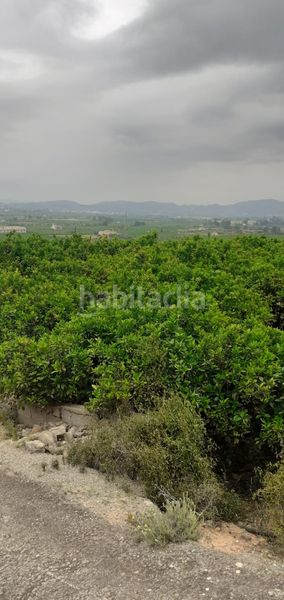 Foto 24b36b02-ceb9-4619-a9f5-f7282ad36be8. Finca rústica a Xàtiva