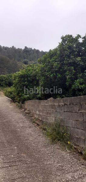 Foto 280a3f69-efde-41f8-a57e-ce5e1aecce98. Finca rústica a Xàtiva