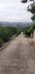 Rural plot in Xàtiva. 2131 - terreno rustico en vena