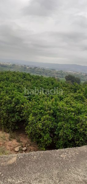 Foto 55c79e56-147b-49a5-800c-937001d7ccf7. Finca rústica a Xàtiva