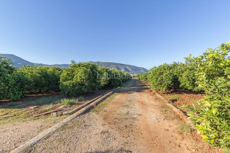 Foto 0ff1f9a3-85fc-4c07-bfd9-72e005ea5412. Finca rústica a Benifairó de la Valldigna