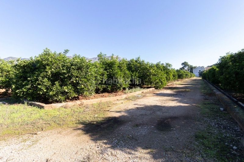 Foto 6313ba03-0d3a-4d43-b894-354e11e75f63. Finca rústica a Benifairó de la Valldigna