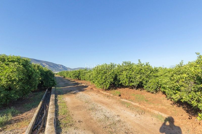 Foto 8a977f0f-bcdd-4b7c-a80f-f090f28b567c. Finca rústica a Benifairó de la Valldigna