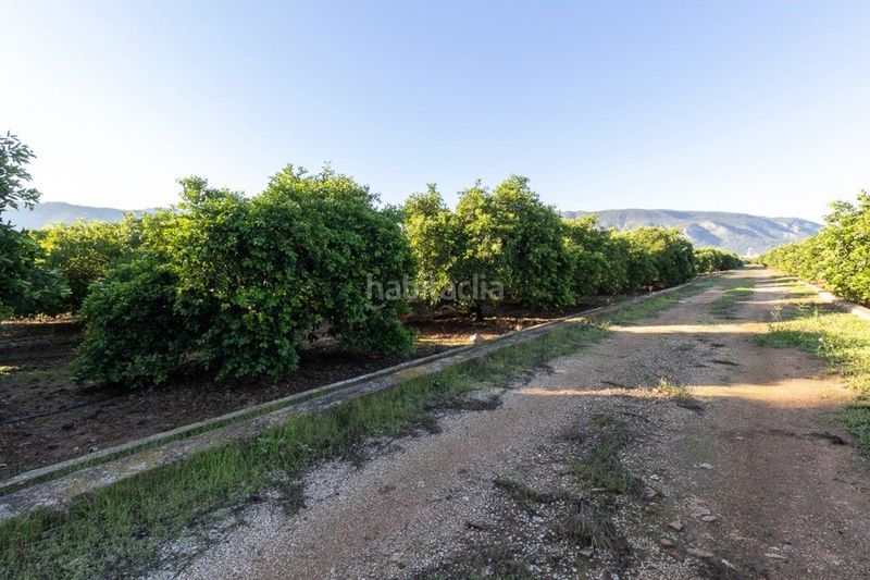 Foto 9468efff-2bb0-4f77-801d-ecdfaa3ca548. Finca rústica a Benifairó de la Valldigna