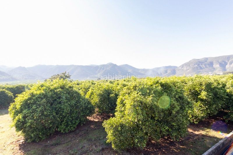 Foto ab314903-5fec-473a-90f0-36a056f9f7ac. Finca rústica a Benifairó de la Valldigna