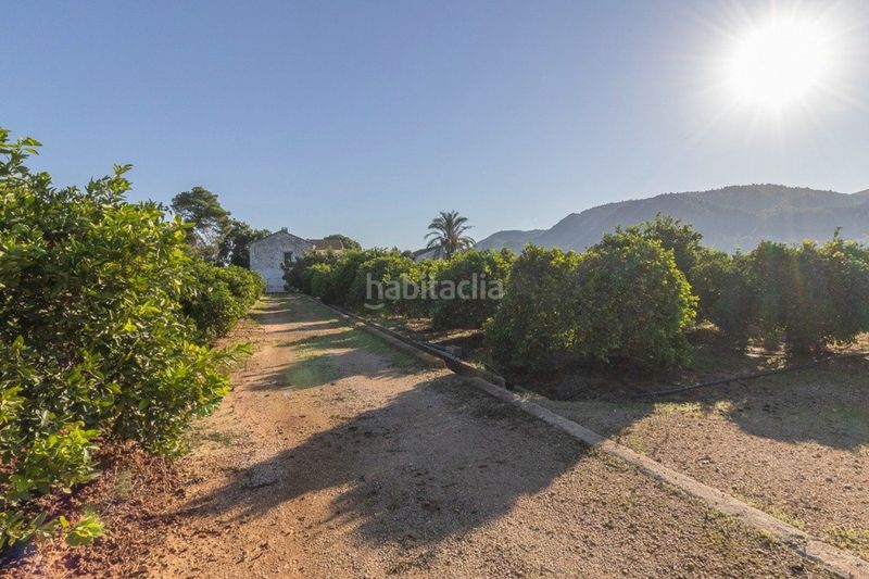 Foto c7599fea-d7bc-4fc4-9f88-99b052198d30. Finca rústica a Benifairó de la Valldigna
