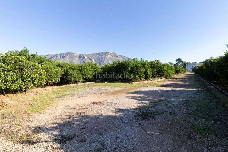 Foto f325e96f-379c-4e88-b75f-3f680c6420a0. Finca rústica a Benifairó de la Valldigna