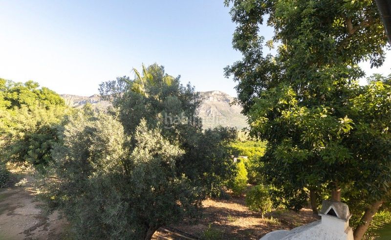 Foto ff75b664-adc7-45ac-a139-e2dfe61a003c. Finca rústica a Benifairó de la Valldigna