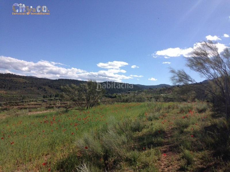 Foto 79792e58-979a-4858-835c-9de29eb58095. Finca rústica a Nerpio