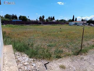 Propriété à El Llano. Terreno rural en molina  de segura, zona de la hijuela