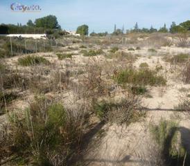 Finca rústica a El Llano. Terreno rústico en el llano de molina