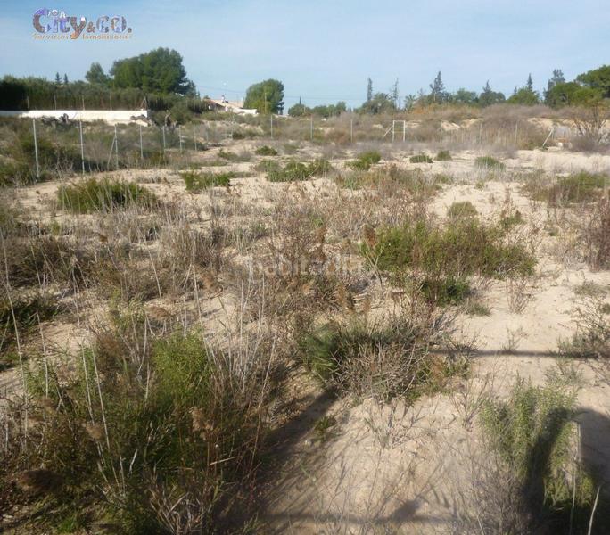 Foto 1f73dec3-4bdc-4b13-aa60-6a172fa94685. Finca rústica terreno rústico en El Llano de molina en Molina de Segura