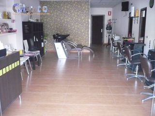 Business premise in Centro