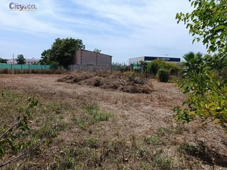 Finca rústica a El Llano. Parcela en molina de segura, zona huerta de abajo