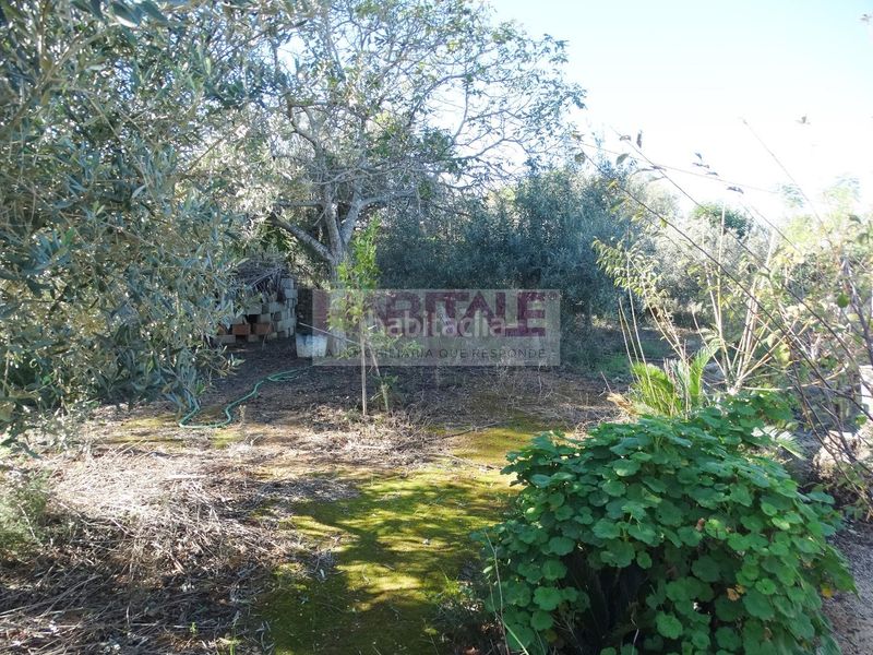 Foto 4a490fb2-aa2f-40cf-99f0-30eb9686cdb2. Casa amb piscina a Barxeta