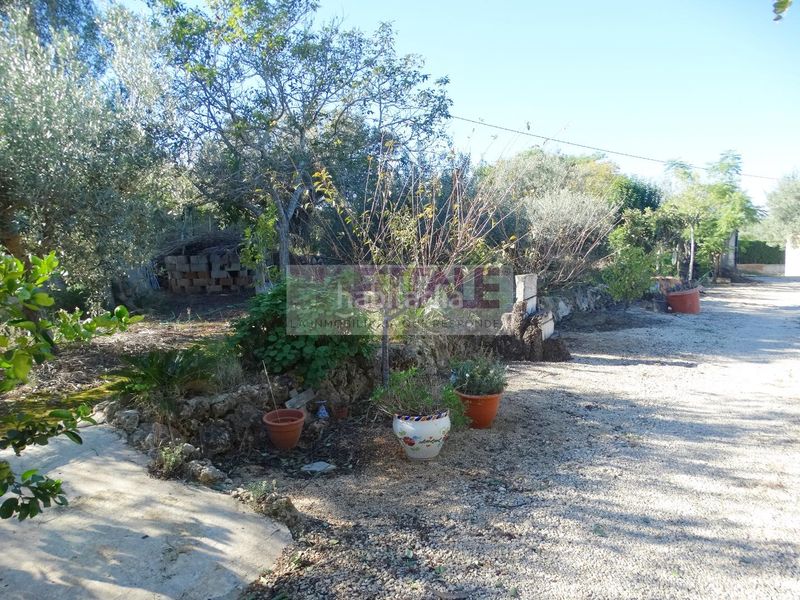 Foto 5affddec-eb40-4412-86a3-ede081fca80d. Casa amb piscina a Barxeta