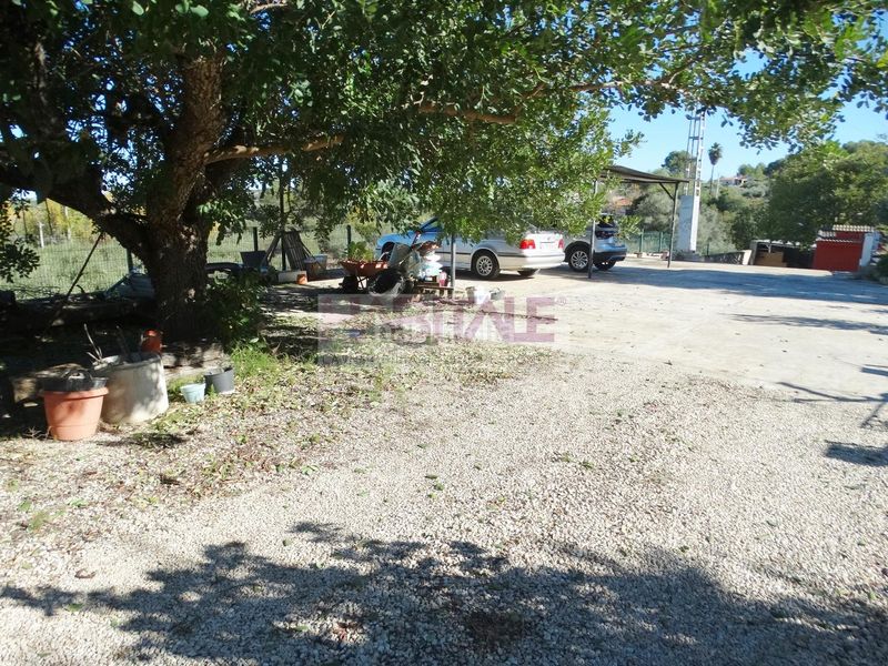 Foto 7302cf50-1097-4245-ab1f-249daf70323a. Casa amb piscina a Barxeta