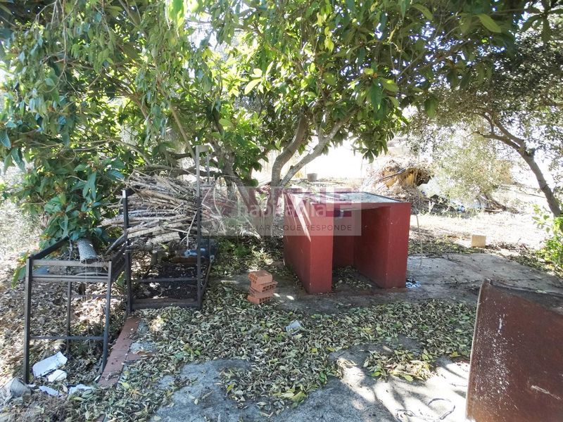 Foto 91980ec0-acf8-42a0-ad5a-4a1c023208eb. Casa amb piscina a Barxeta