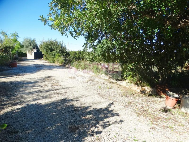 Foto 93eeb26c-6094-463e-ad4a-064bffef3aa5. Casa amb piscina a Barxeta