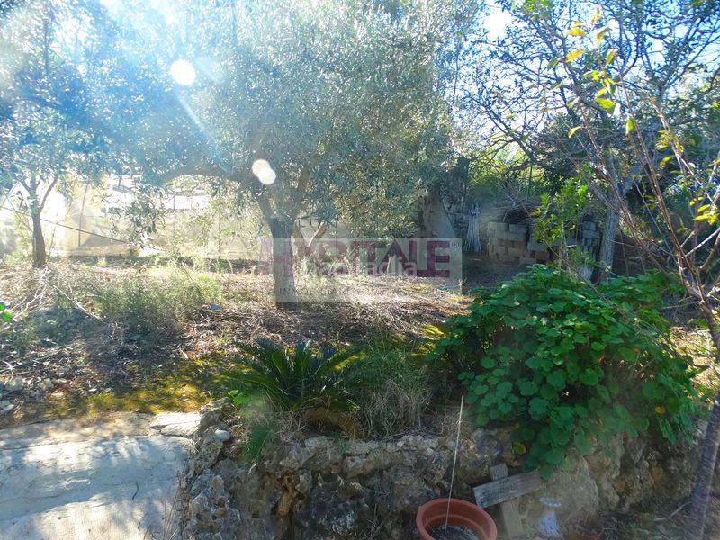 Foto ef9b6227-1dc0-4515-8a77-bda8f152b1e9. Casa amb piscina a Barxeta