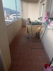 Appartement à Centre-Zona Alta. Se vende piso en alcoy  zona viaducto