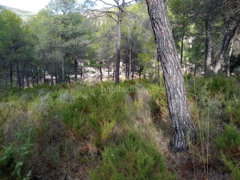 Foto ca925e91-391f-4454-95c4-31eba9741fef. Terreno residencial parcela en el sargento alcoy en Alcoi