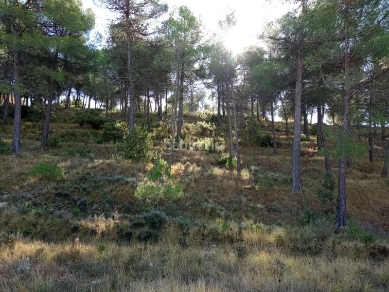 Foto e79a870a-d03e-4292-893a-5a33a430fc57. Terreno residencial parcela en el sargento alcoy en Alcoi