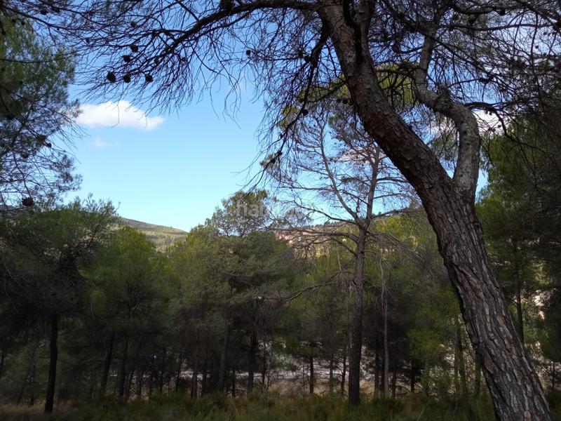 Foto f332337f-b056-4203-b2ad-a43914f147e8. Terreno residencial parcela en el sargento alcoy en Alcoi