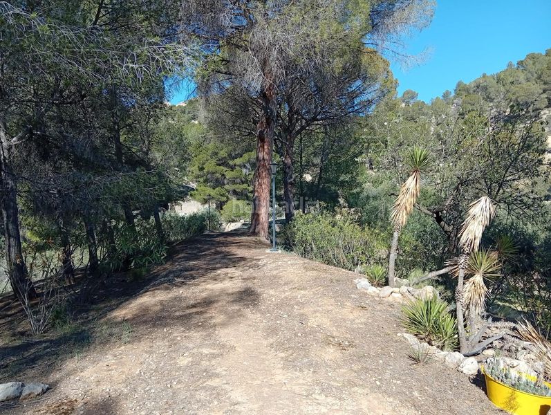 Foto 14cbb62b-c11a-4ff8-afd6-cf6a3113fd7a. Masía venta finca rustica con casa zona el tormo en Onil