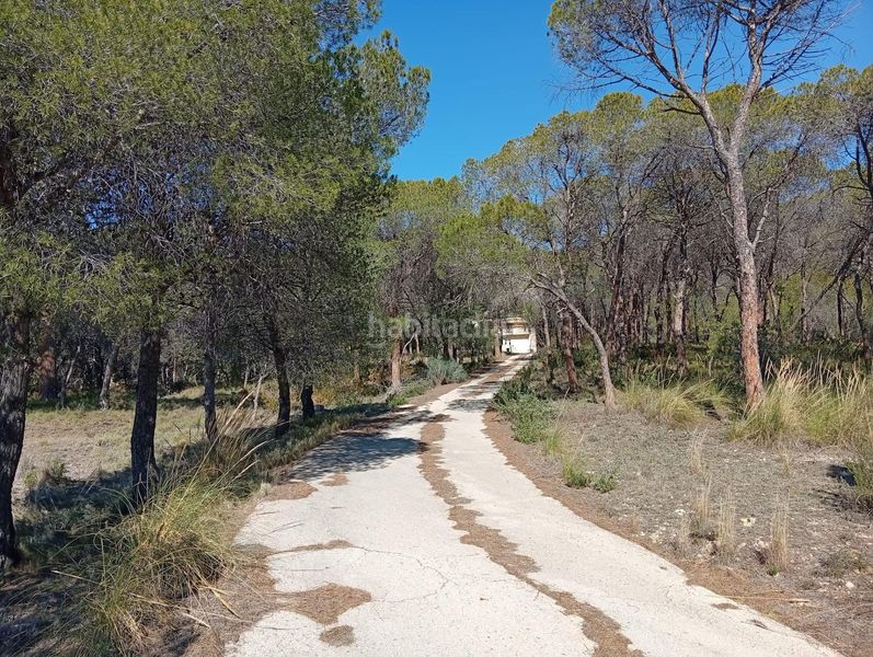 Foto 24f3c867-fda1-44db-8617-7ee5e78f09e3. Masía venta finca rustica con casa zona el tormo en Onil