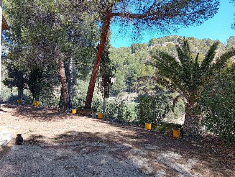 Foto 262fe99d-7e86-4126-8883-237be9eb59b5. Masía venta finca rustica con casa zona el tormo en Onil