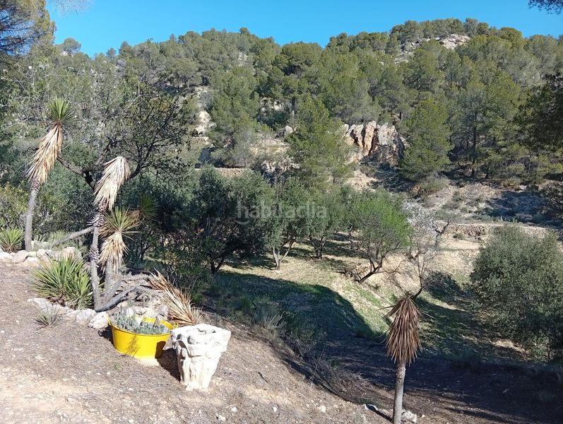 Foto 2f8566e9-fbc4-4ce5-91a7-5b9dc1bbacd6. Masía venta finca rustica con casa zona el tormo en Onil