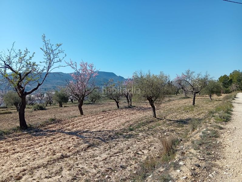 Foto 520a1001-ed5d-44ba-b77d-5b6447018672. Masía venta finca rustica con casa zona el tormo en Onil