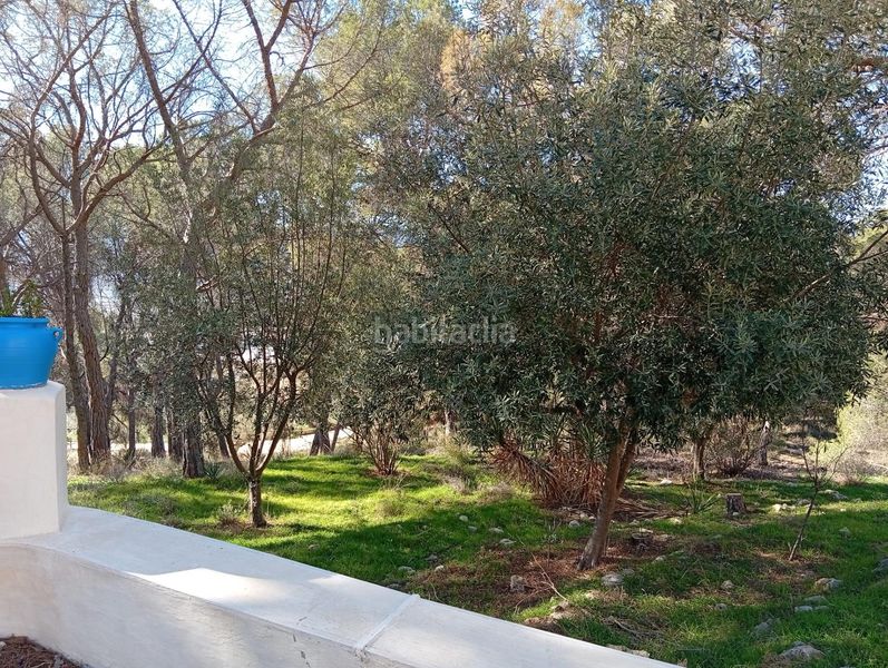 Foto a12543ce-c9af-4ec5-94e5-4fa05034138c. Masía venta finca rustica con casa zona el tormo en Onil