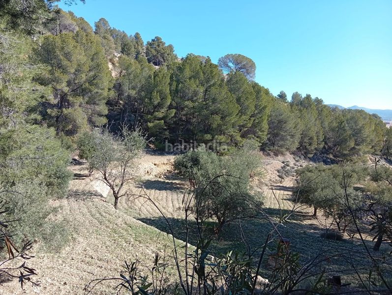 Foto ce136c59-ae0d-4d05-b40c-176c8f10584c. Masía venta finca rustica con casa zona el tormo en Onil