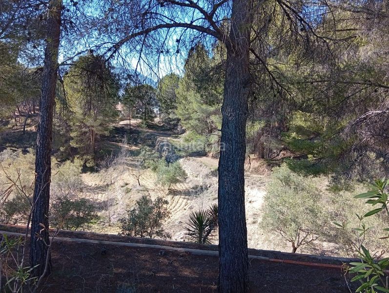 Foto e4729eb1-fc95-4c17-8473-f3f81e30f24d. Masía venta finca rustica con casa zona el tormo en Onil