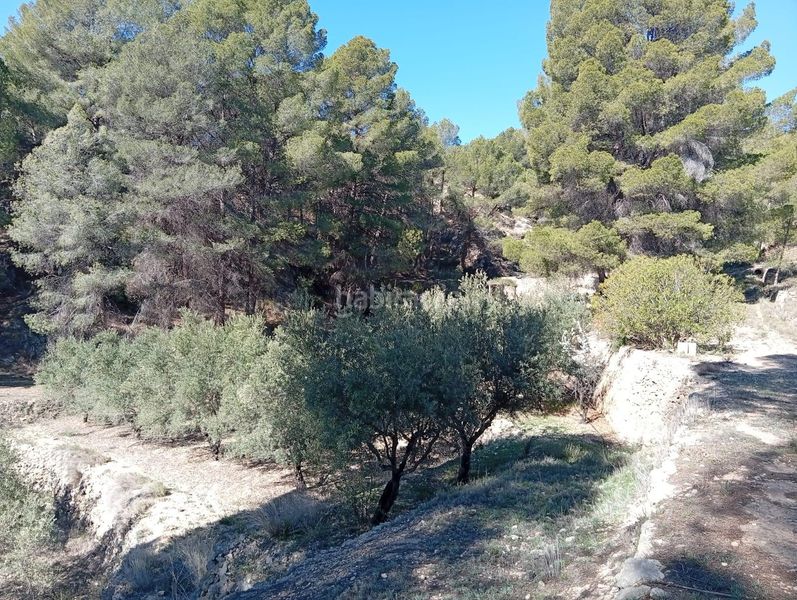 Foto e7f850dd-e161-4bfe-a574-9b695ae5e864. Masía venta finca rustica con casa zona el tormo en Onil