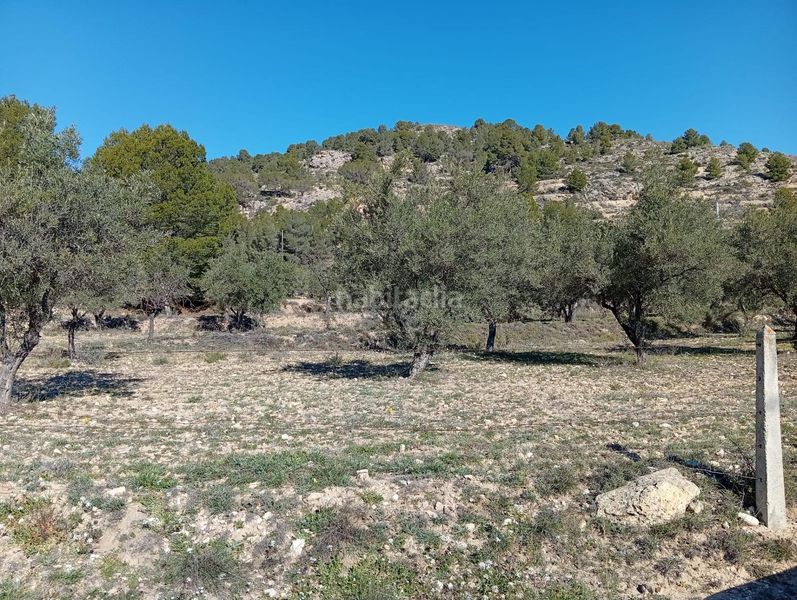 Foto eec4a94c-e43e-4b22-b44e-a7aaa5bd6d18. Masía venta finca rustica con casa zona el tormo en Onil