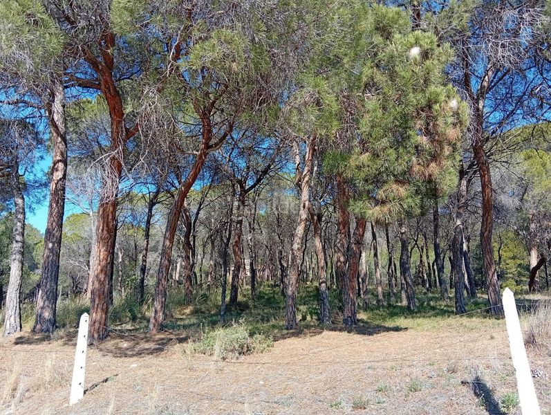 Foto a526b17b-d409-4c11-9c0a-ebd9518ed30d. Masia amb aparcament a Onil