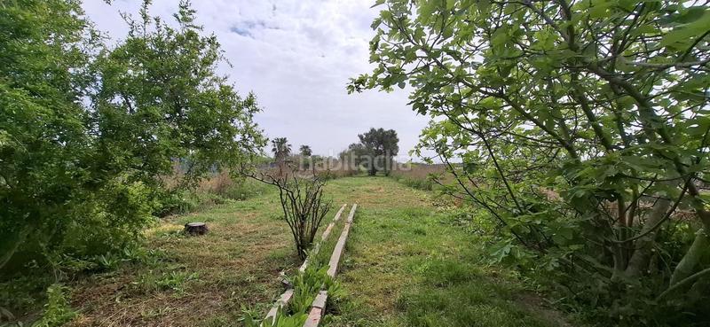 Foto e9e7130b-9323-4e5c-b602-763a008df487. Mas avec chauffage piscine dans El Grao Castellón de la Plana