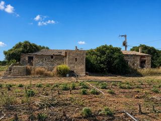 Finca rústica  Bustalet. Finca en producción con masia, luz y agua