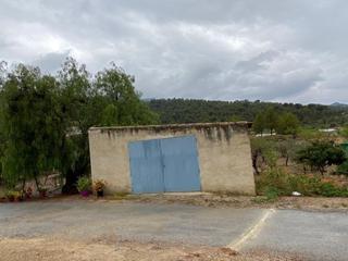 Masia a Ricote. Se vende casa  con terreno en campo de ricote