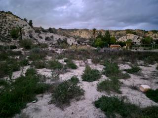 Finca rústica a Ulea. Se vende finca en ulea