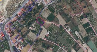 Rural plot in Archena. Se vende terreno rústico en zona de la noria de archena
