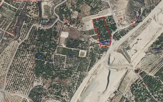 Rural plot in Archena. Se vende terreno rustico en zona los intes