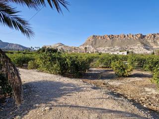 Propriété à Villanueva del Río Segura. Se vende finca de 20000 m2 en villanueva la paira