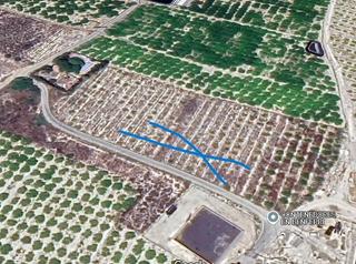 Terrain résidentiel à Benferri. Se vende finca rustica en benferri